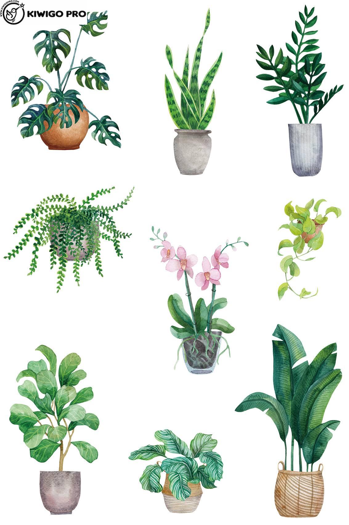 【A6】乾式浮雕轉印貼紙/水晶貼/周邊不殘膠/直接貼產品(整張出貨)